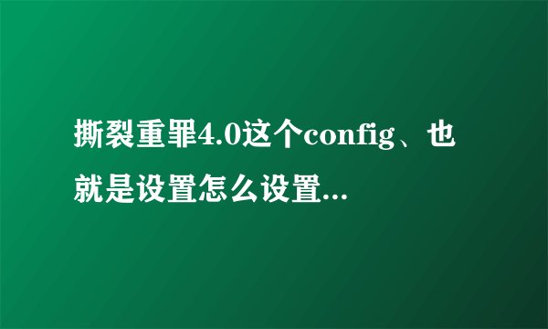 撕裂重罪4.0这个config、也就是设置怎么设置啊、急求、