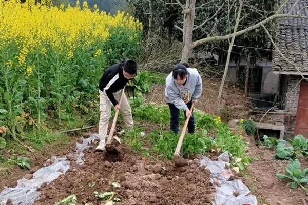 劳动课正式升级成为中小学的独立课程，怎么让创新成为劳动教育的生命力？