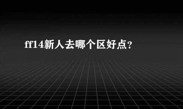 ff14新人去哪个区好点？