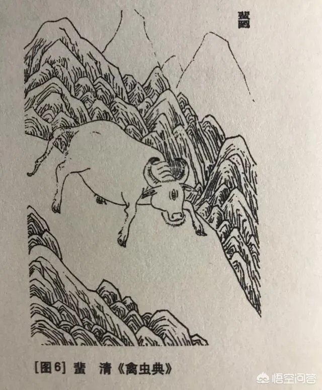 你认为《山海经》里面最强的十大神兽是什么？