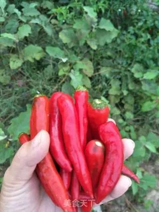 自制辣椒酱
