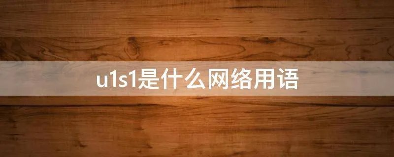 u1s1是什么网络用语