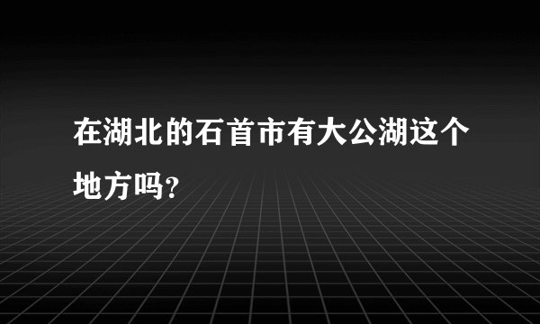 在湖北的石首市有大公湖这个地方吗？