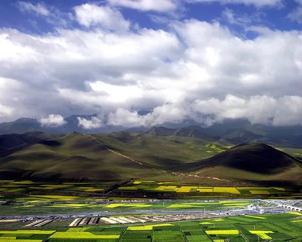 祁连山的生态环境被长期破坏，大家怎么看？