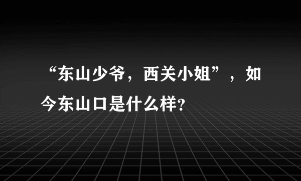 “东山少爷,西关小姐”,如今东山口是什么样?