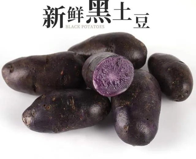 黑土豆有什么生长特性？如何进行种植管理？