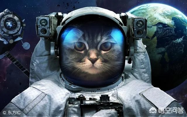 如果发现人类是高级文明培养实验品，会对现在社会有什么影响？