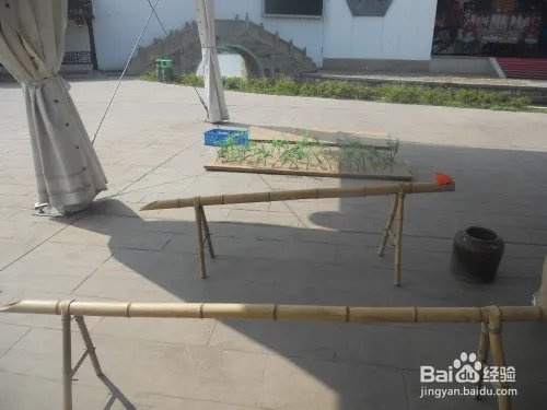 假期旅游之上海金山廊下生态园