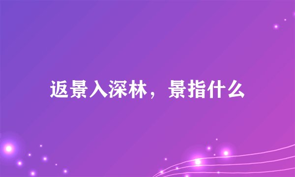 返景入深林，景指什么