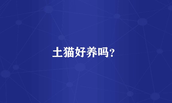 土猫好养吗？