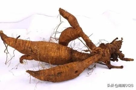 葛根是什么样子,有图片吗？