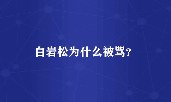 白岩松为什么被骂?