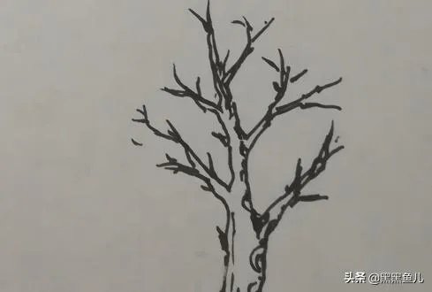 大树的简笔画怎么画？