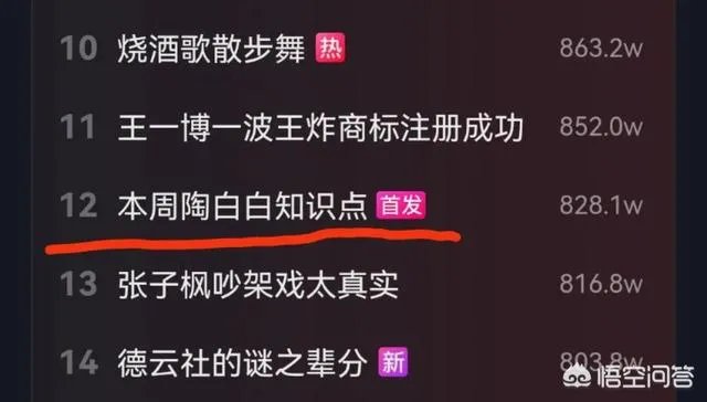 陶白白是什么梗？