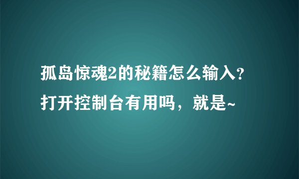 孤岛惊魂2的秘籍怎么输入？打开控制台有用吗，就是~