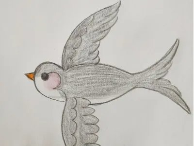 燕子怎么画