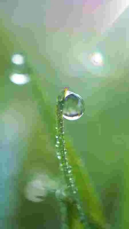 禁止、禁令、严禁、情不自禁的拼音有什么区别？