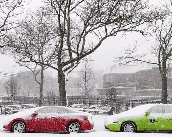 纽约遭遇暴风雪是怎么回事？