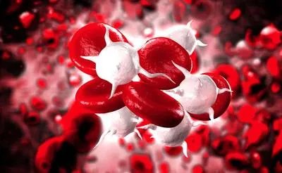 血清甘油三酯偏高是什么原因导致的