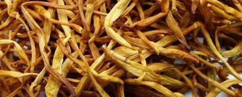 黄花菜是凉性还是热性