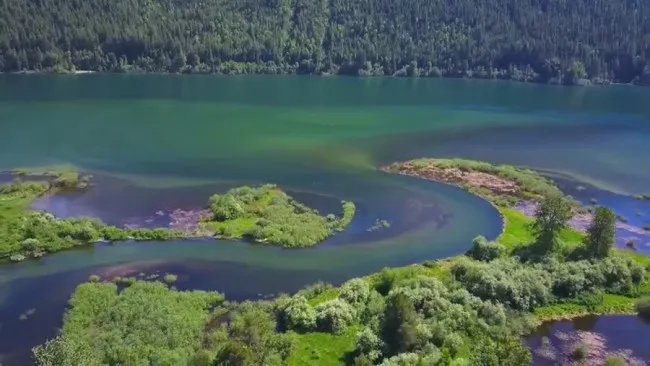 快本工作人员该收高价应援礼物吗