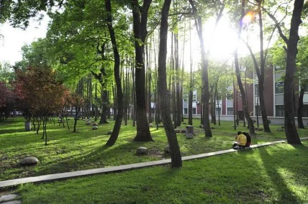 湖北大学老师梁艳萍被停职，是否应该继续追究其责任？