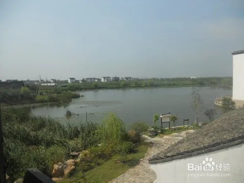 假期旅游之上海金山廊下生态园