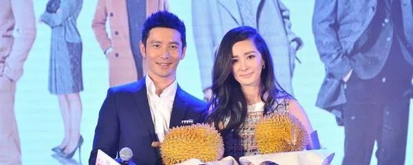 黄晓明和杨幂一起演过哪些电视剧