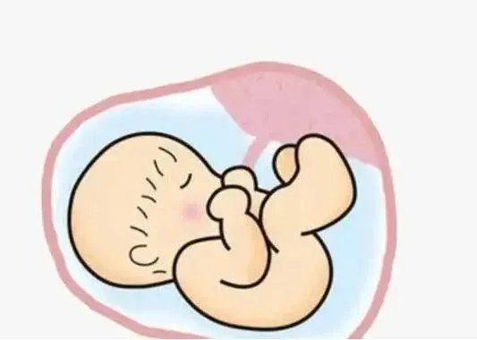 试管价格一览表-2023年湖北供卵试管男男收费标准，内附捐卵价格一览表！