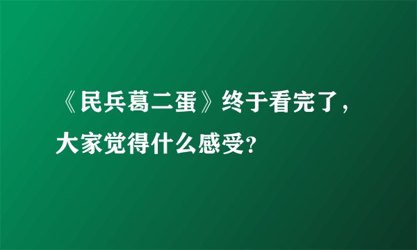 《民兵葛二蛋》终于看完了，大家觉得什么感受？
