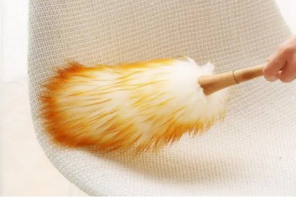 掸的拼音怎么读