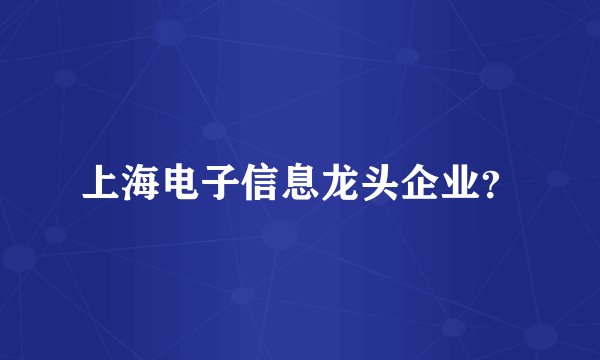 上海电子信息龙头企业？
