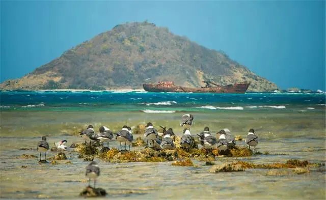 格林纳达的自然环境如何？