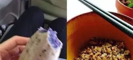 郑秀文是如何减肥的？