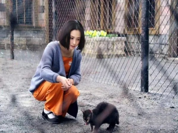 如何评价《请赐我一双翅膀》中的玉玲珑？