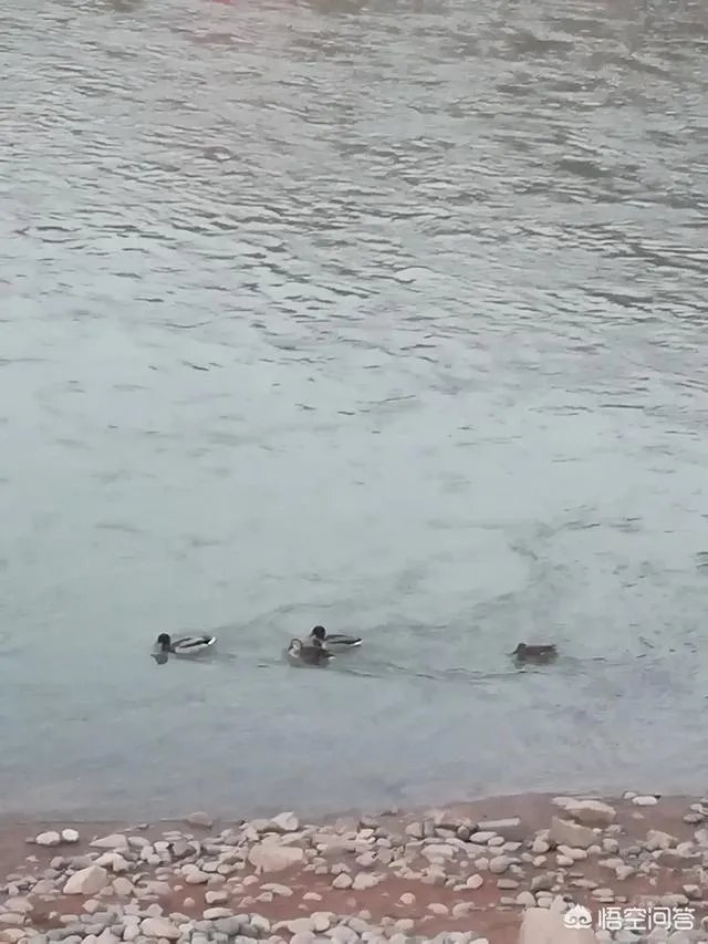 在兰州,你最常去玩的三个地方是哪?