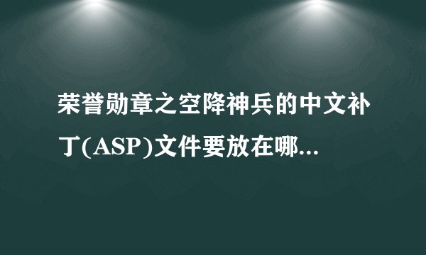 荣誉勋章之空降神兵的中文补丁(ASP)文件要放在哪个目录下啊