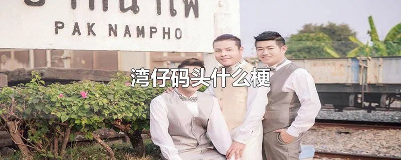 湾仔码头什么梗