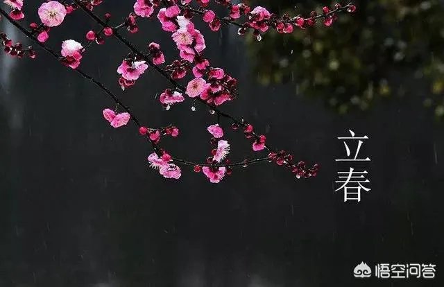 农村俗语“七年难逢九月闰,百年难逢初一春”,是什么意思?