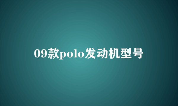 09款polo发动机型号