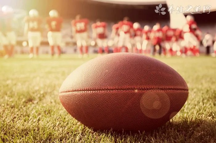 竹节参的功效与作用