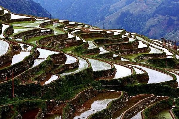 谁不说俺家乡好歌词是什么意思？