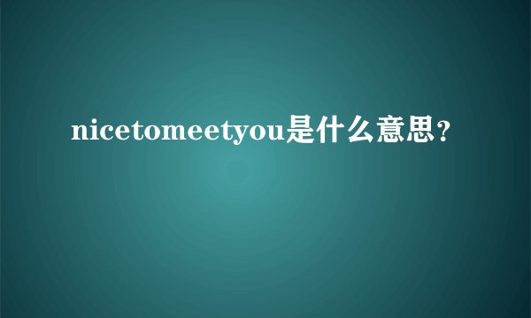 nicetomeetyou是什么意思？