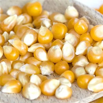 医院检查视力流程？