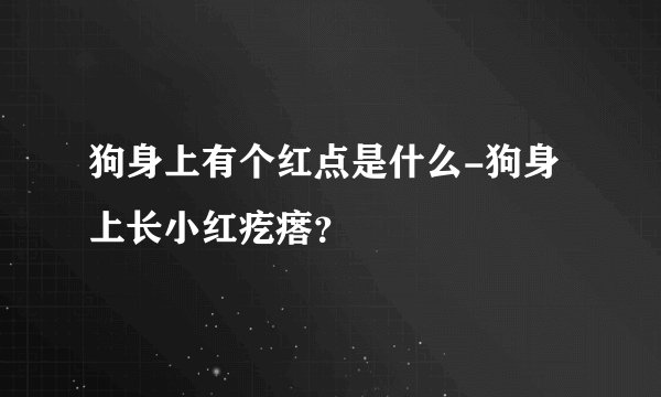 狗身上有个红点是什么-狗身上长小红疙瘩？