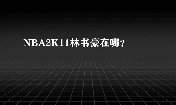 NBA2K11林书豪在哪？
