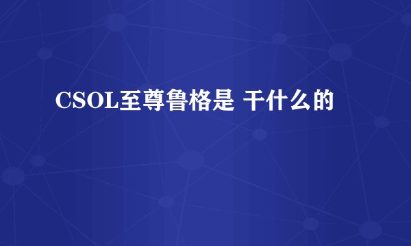 CSOL至尊鲁格是 干什么的