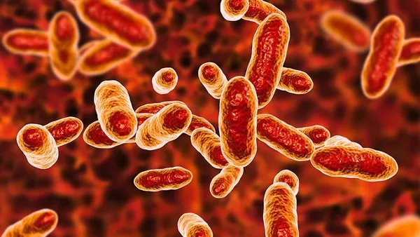 c反应蛋白高是怎么回事