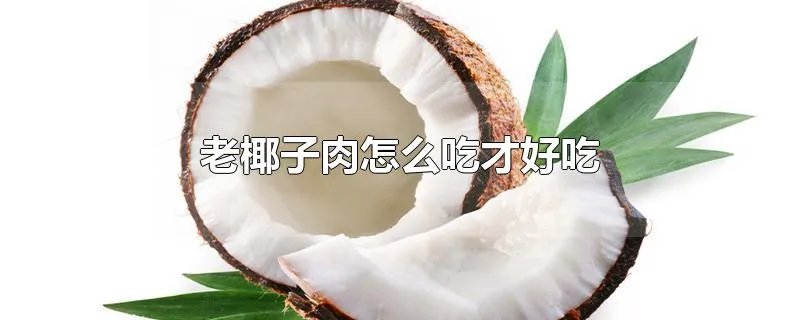 老椰子肉怎么吃才好吃