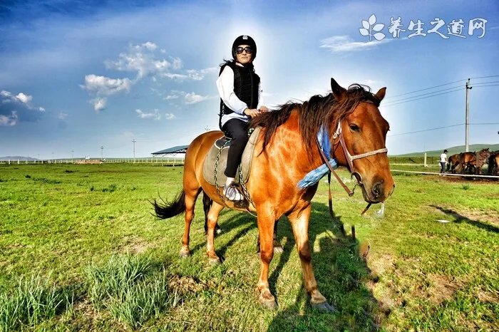 英国纯血马史诗般的传奇马种